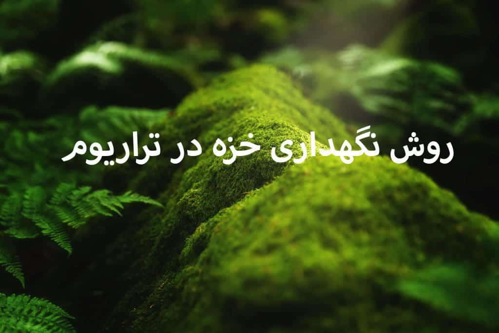 روش نگهداری خزه در تراریوم