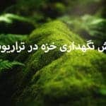 روش نگهداری خزه در تراریوم