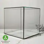 ظرف شیشه ای تراریوم مکعبی ۲۰ سانتیمتر