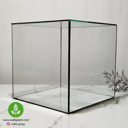 ظرف شیشه ای تراریوم مکعبی ۲۰ سانتیمتر