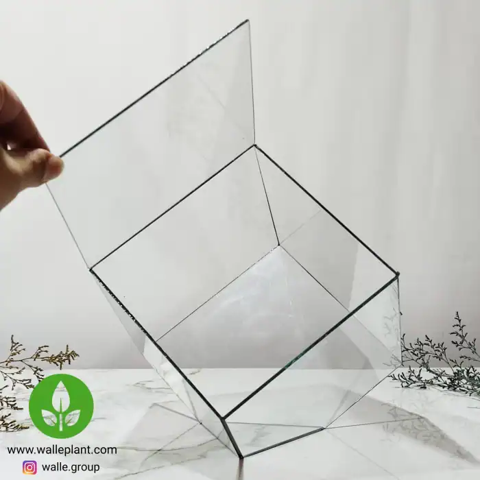 ظرف تراریوم شیشه ای مکعبی
