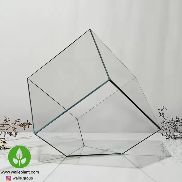 ظرف تراریوم شیشه ای مکعبی