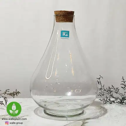 شیشه تراریوم کوچک مدل طاووس برند پیشگامان