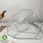 ظرف تراریوم شیشه ای چندوجهی