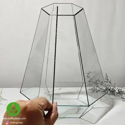ظرف تراریوم شیشه‌ای شش‌ضلعی
