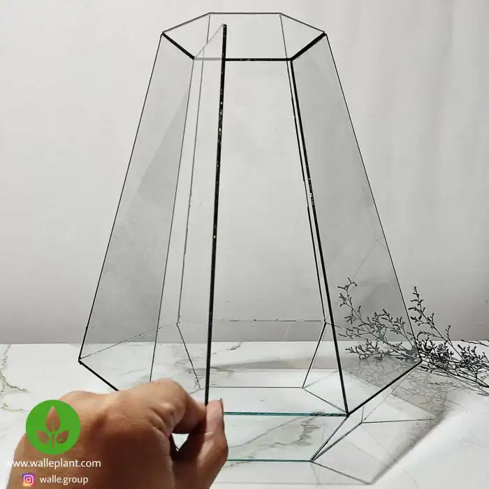 ظرف تراریوم شیشه‌ای شش‌ضلعی