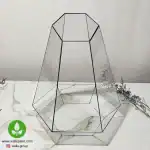 ظرف شیشه‌ای تراریوم شش‌ضلعی