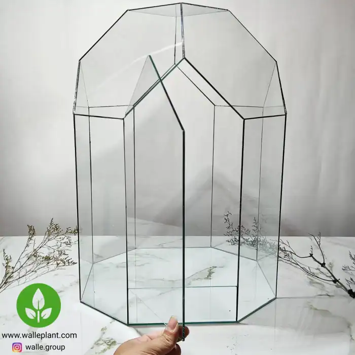 ظرف شیشه تراریوم چندوجهی