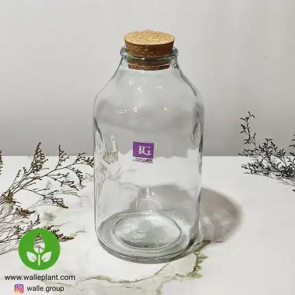 شیشه تراریوم مدل آمازون برند پیشگامان