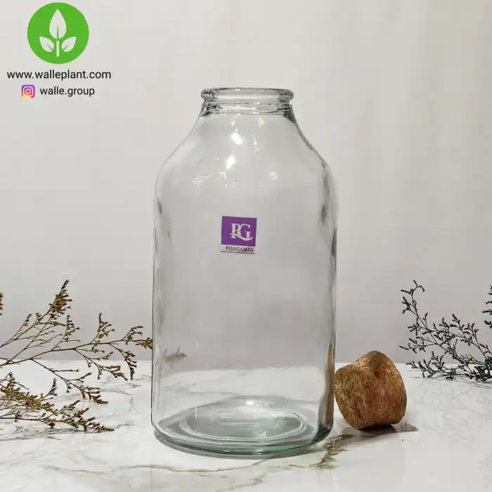 شیشه تراریوم مدل آمازون برند پیشگامان