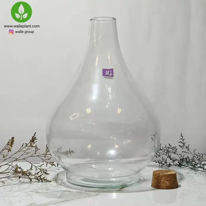 شیشه تراریوم طاووس