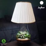 تراریوم بهمراه آّباژور و چراغ خواب