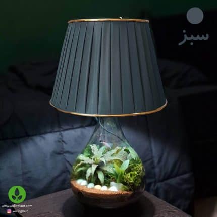 تراریوم بهمراه آّباژور و چراغ خواب