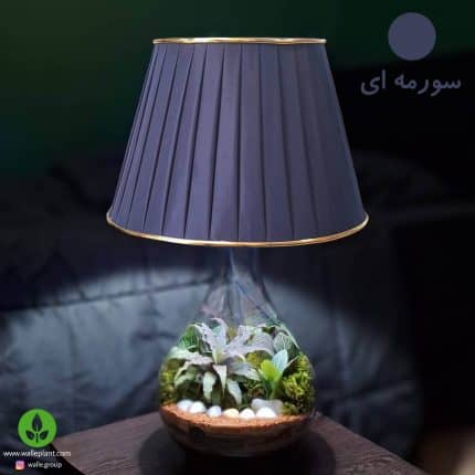 تراریوم بهمراه آّباژور و چراغ خواب