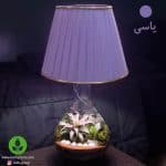 تراریوم بهمراه آّباژور و چراغ خواب