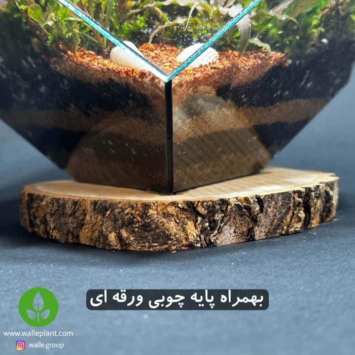 تراریوم مربعی روبیک