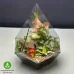 تراریوم شیشه ای مدل الماسی