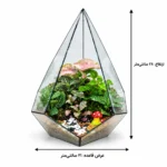 تراریوم شیشه ای مدل الماسی - تصویر 2