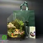 تراریوم هشت ضلعی مینی دل ارا