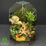 تراریوم بزرگ خانگی هشت ضلعی مینی دل ارا