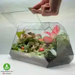تراریوم بزرگ مدل البرز با درب باز شونده برای تهویه هوا