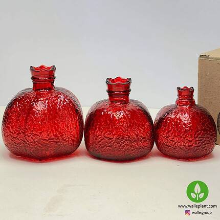 گیفت شب یلدا