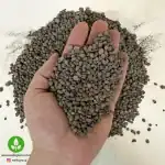 خرید لیکاپون