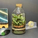 تراریوم کوچک