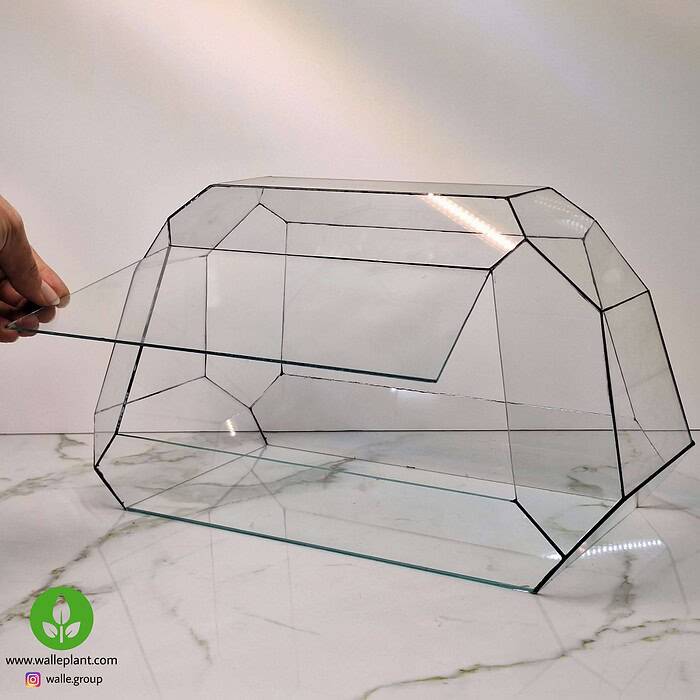 شیشه تراریوم بزرگ چند ضلعی