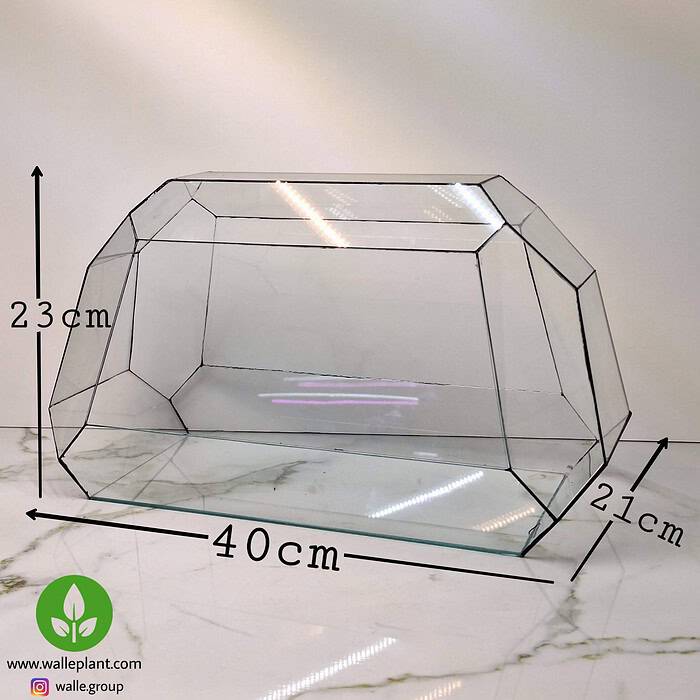 شیشه تراریوم بزرگ چند ضلعی