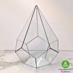 شیشه ی تراریوم مدل الماسی