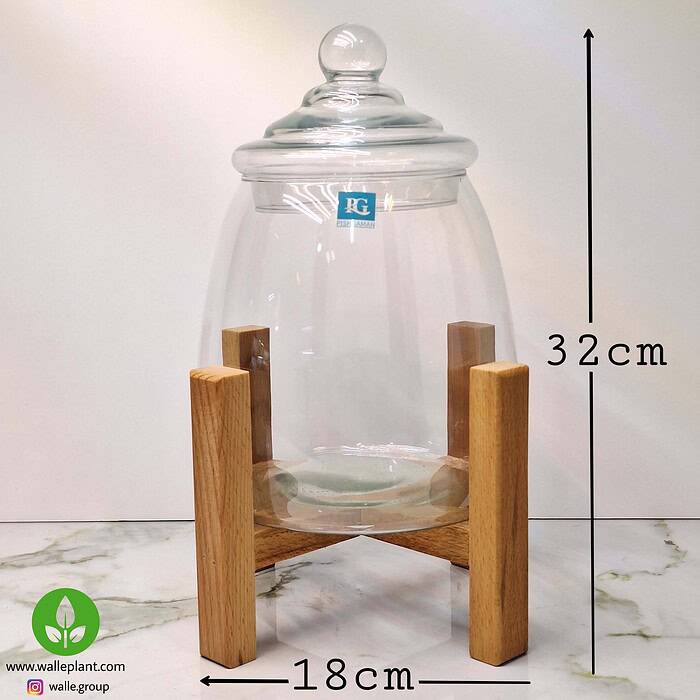 شیشه تراریوم با پایه چوبی و در شیشه ای