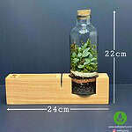 ست اداری تراریوم