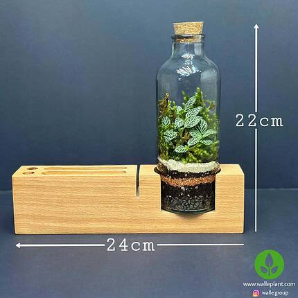 ست اداری تراریوم