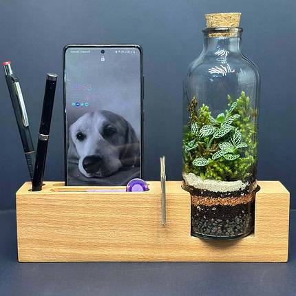 ست اداری تراریوم