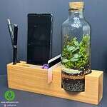 ست اداری تراریوم