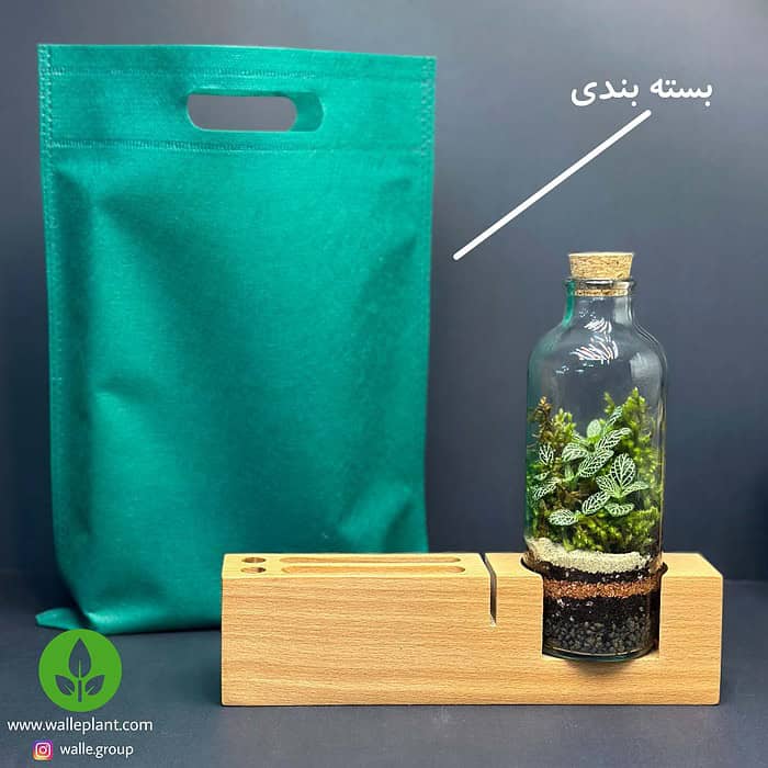 ست اداری تراریوم