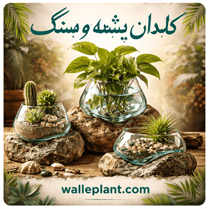 خرید گلدان های شیشه سنگ برای دکوری محل زندگی شما