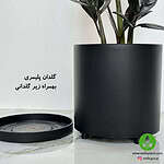 گیاه زاموفیلیا سوپر بلک با برگ‌های مشکی براق در گلدان مشکی مدرن