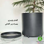 خرید کاج مطبق