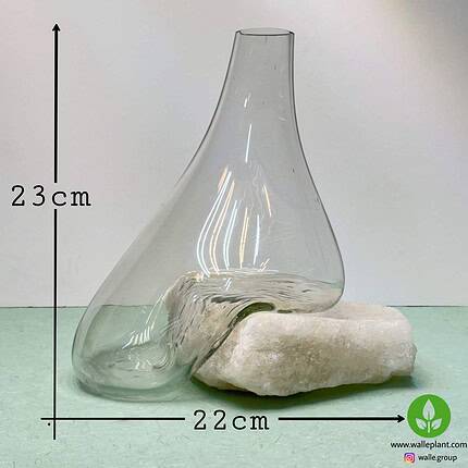 گلدان شیشه و سنگ نمک n-001