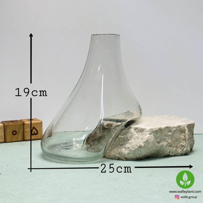 گلدان شیشه و سنگ 005