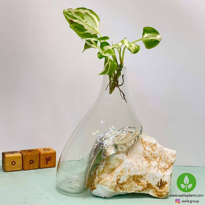 گلدان شیشه و سنگ 004