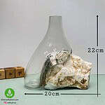 گلدان شیشه و سنگ 004