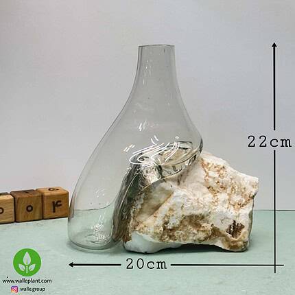 گلدان شیشه و سنگ 004