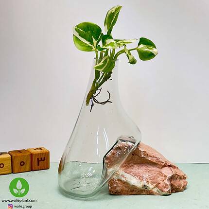 گلدان شیشه و سنگ 003