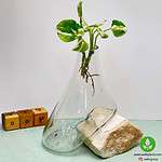 گلدان شیشه و سنگ 002