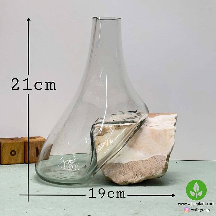 گلدان شیشه و سنگ001