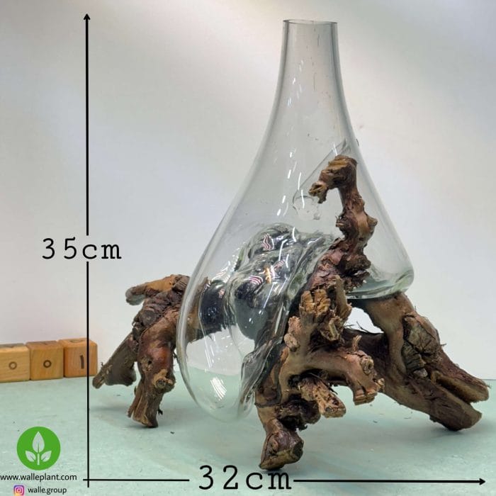 گلدان شیشه و چوب 001