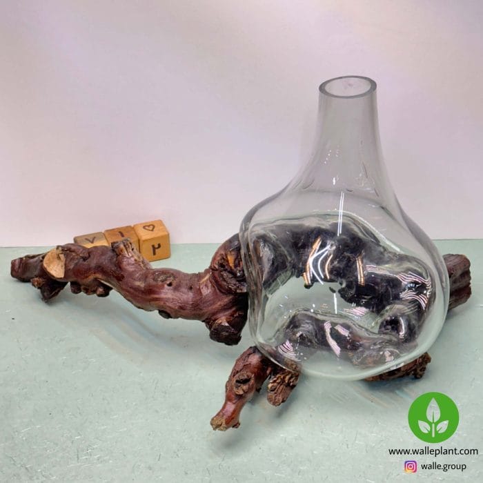 گلدان شیشه و چوب 002